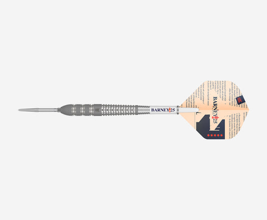 Target | Raymond Van Barneveld Barney25 | SwissPoint